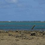 Paisagens de São Miguel dos Milagres são como grande postal