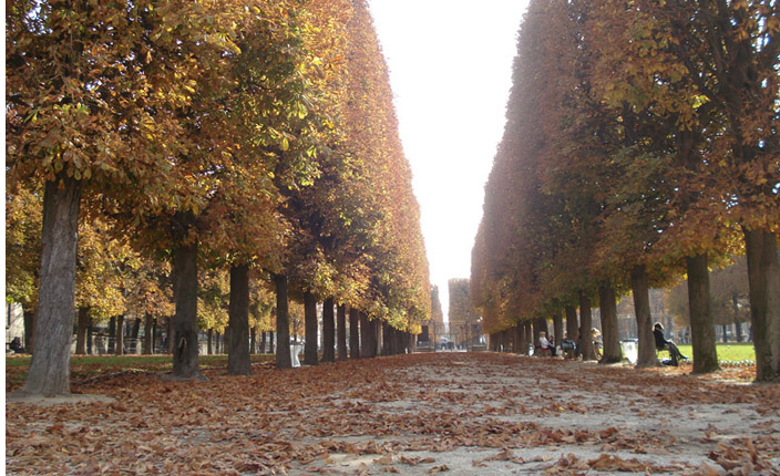 Jardim de Luxemburgo Paris