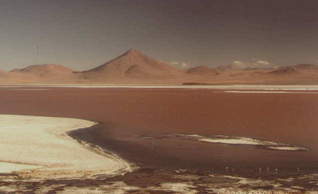 Passeio pelo altiplano inclui Uyuni, o deserto de sal, lagoas coloridas e até flamingos 