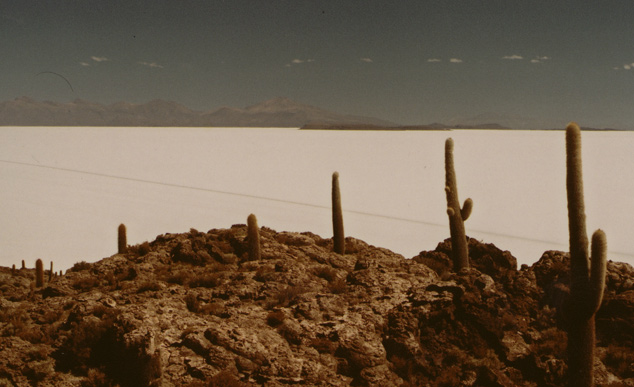 No meio do deserto de sal surgem ilhas de pedra repletas de cactos 