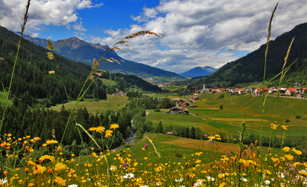 Vista da estrada Bernina Pass na Suiça | Tatiana Perim