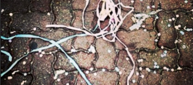 amor de verao carnaval