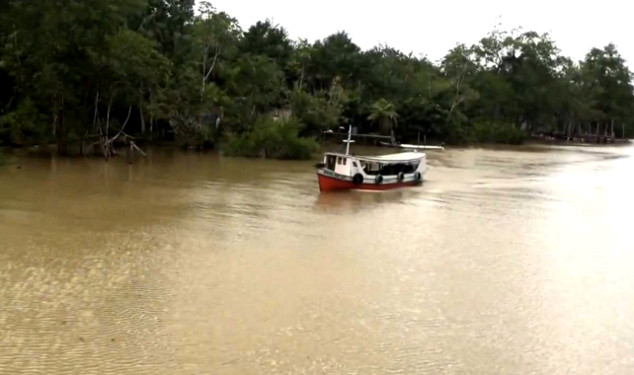 amor-de-verao-rui-guama - belém