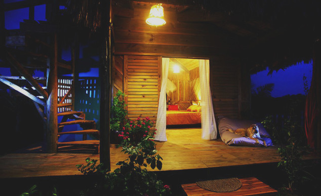 hotéis que aceitam animais - Hula-Hula-Brazil-Bangalo-Vida