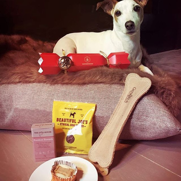 Ultima Gstaad-kit pet-