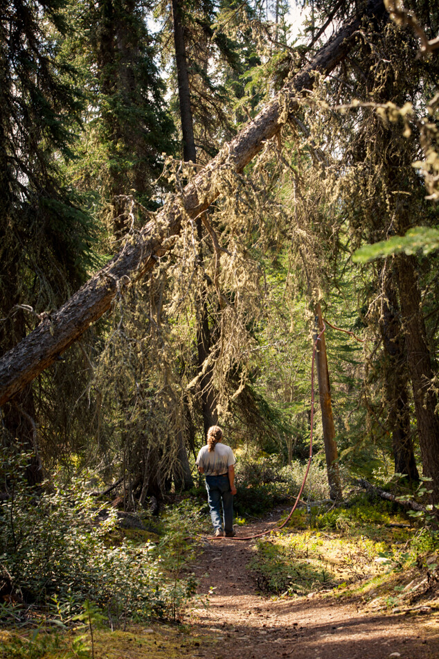 trilha-lago_marsh-yukon-Canada-Arthur-Seixas