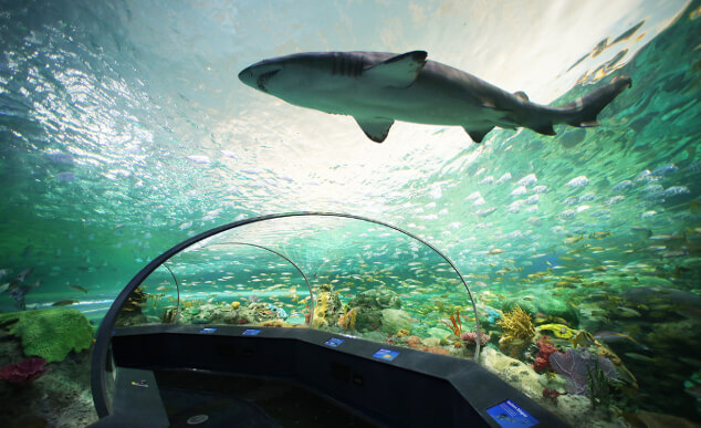 Ripleys-Aquarium-Toronto-Destination_Canada